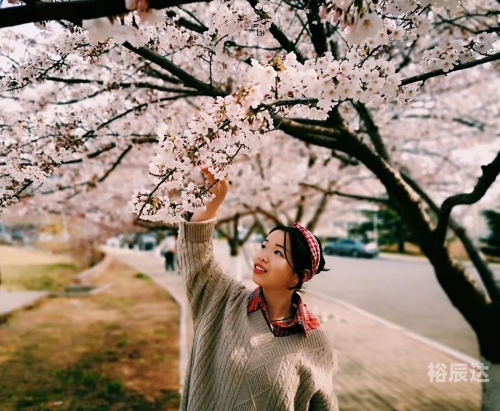 一肖彩经，神秘与智慧的交织-第2张图片
