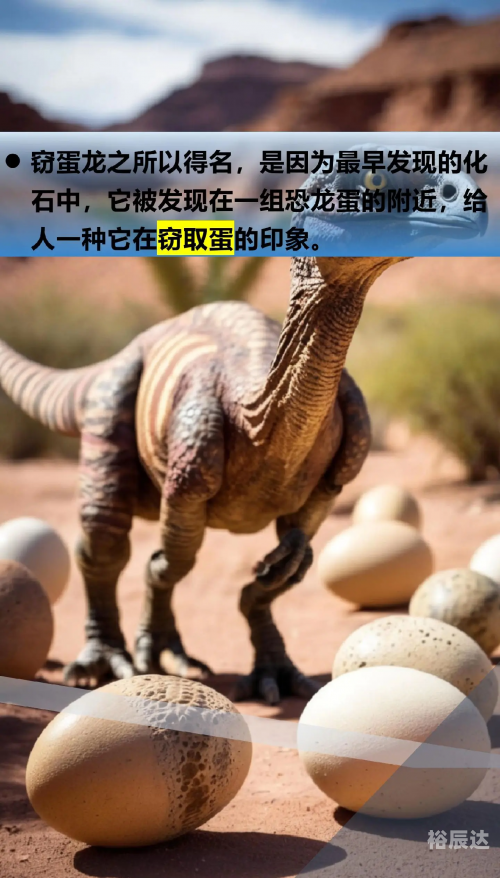 蛋蛋龙蛋蛋龙,神秘的生物