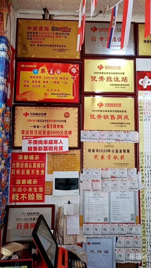 双色球综合新浪彩票，彩票投注新体验-第3张图片
