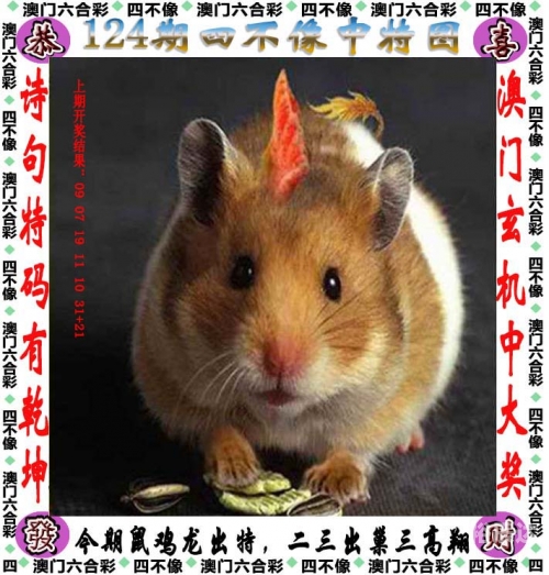 澳门马会传真论坛澳门马会传真论坛，探讨行业交流与信息传递