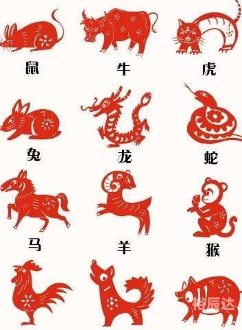 2024澳门今天晚上开什么生肖啊生肖号码图2024澳门今晚生肖揭晓