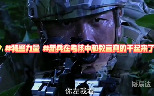 特警力量下载，安全与效率的双重保障