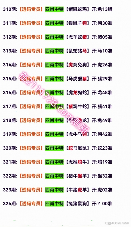 澳门一码一肖一特一中澳门一码一肖一特中，神秘魅力与机遇-第3张图片