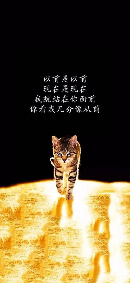 乐透乐，一种快乐与幸运的交织-第2张图片