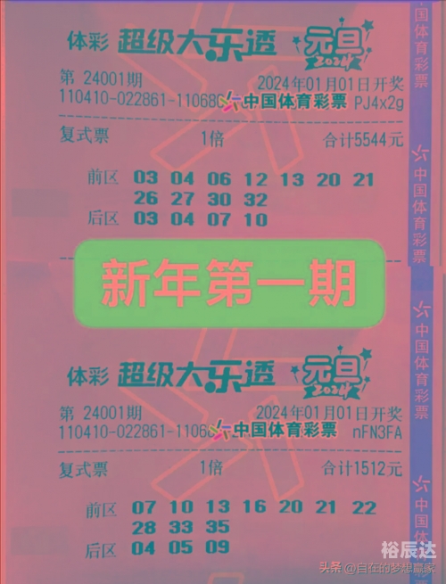 2024新奥历史开奖记录69期，回顾与展望
