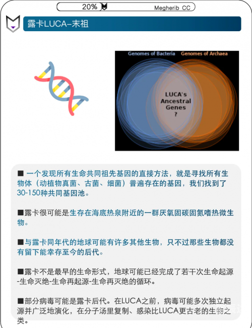 进化与演进的探索-第3张图片