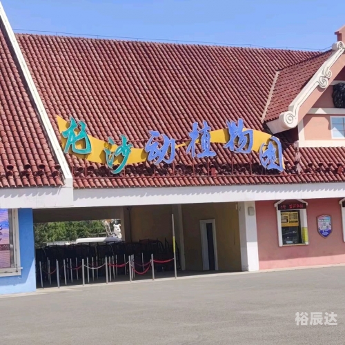 大庆贯通大庆贯通，历史与未来的交汇点
