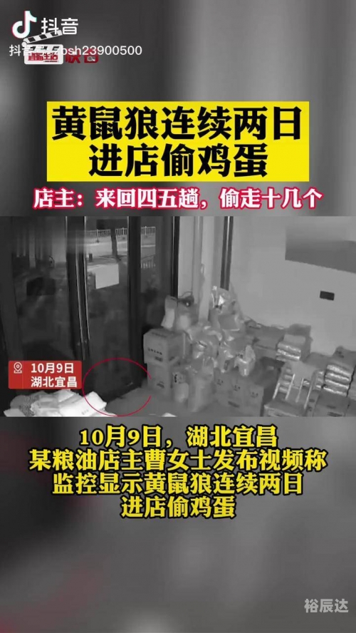 手机最快看开奖现场直播-第2张图片