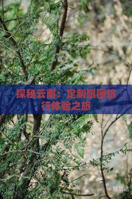 云南旅行团云南旅行团之旅，探秘云南之美-第1张图片