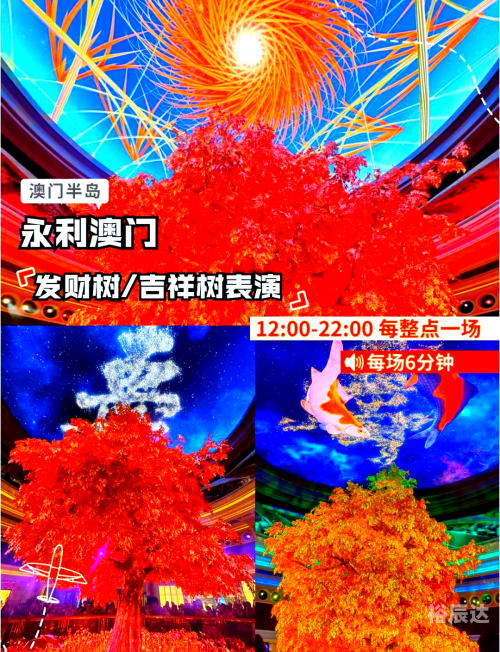 澳门特马今晚开奖预告，2023年3月1日-第1张图片
