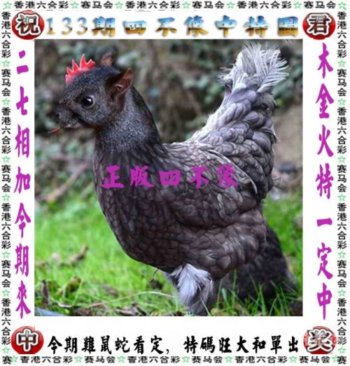 小鱼儿玄机2站，神秘之旅的探索