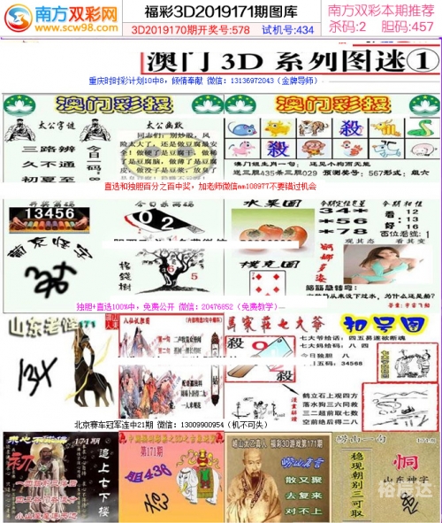 澳门彩天天免费精准资料，探索澳门彩的神秘世界