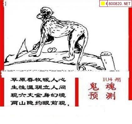 三毛3D图库总汇-第3张图片