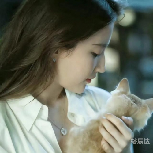 刘亦菲的qq空间在哪里刘亦菲的QQ空间，璀璨星河下的点滴回忆-第2张图片