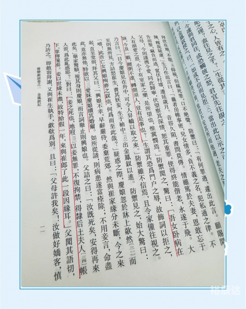 缤纷言情热点小说坊缤纷言情热点小说坊,探索小说世界的多彩世界