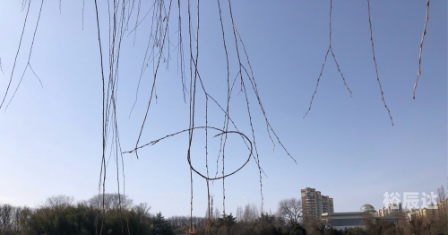 大莫与京的意思大莫与京，城市与文化的交融-第2张图片