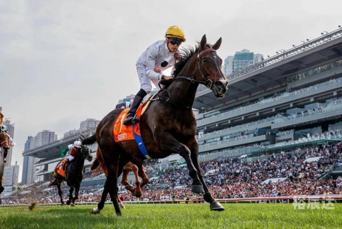 香港2021马会全年免费资料香港全年资料马会大全