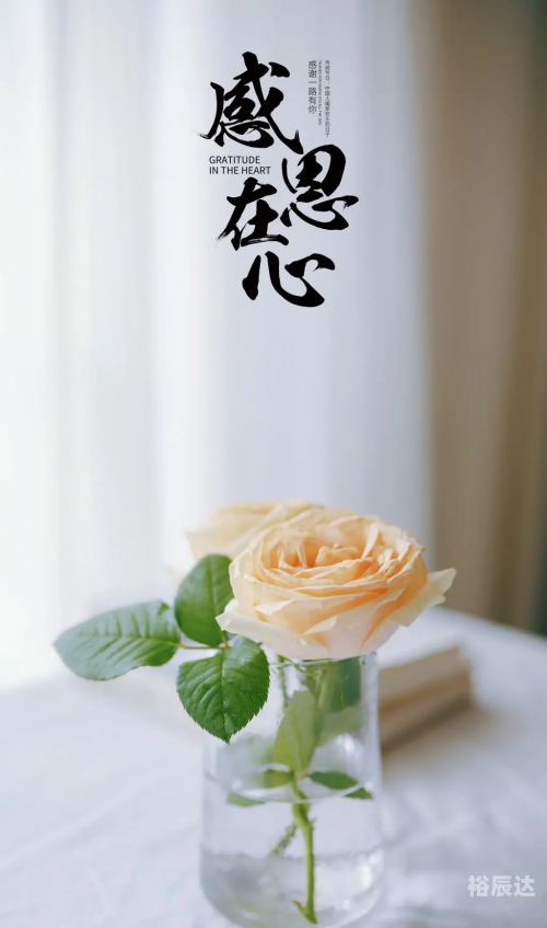 12月5日是感恩节的日子。这一天，人们会通过各种方式来表达对家人、朋友和社区的感激之情。感恩节是一个重要的传统节日，它不仅仅是一个庆祝节日的日子，更是一个提醒人们珍惜当下、感恩生活的重要时刻。-第1张图片
