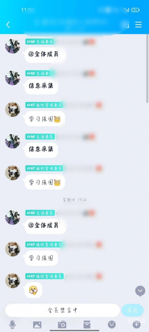 微风网，探索网络世界的魅力-第1张图片