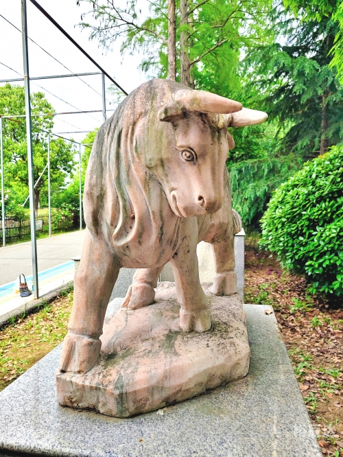 三肖期期准必开生肖三肖三期必开特肖，揭秘彩票预测与策略