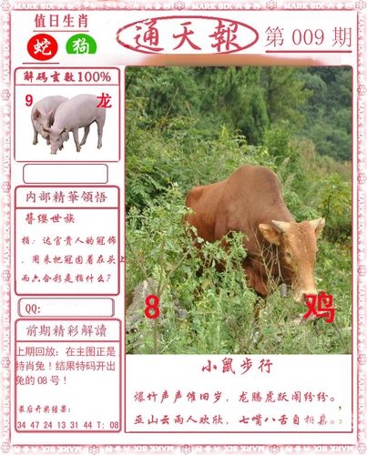2023澳门全年免费资料大放送