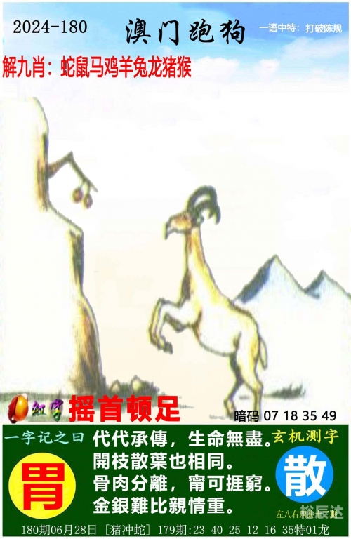 2024新奥精准免费大全2024新澳正版免费资料大放送