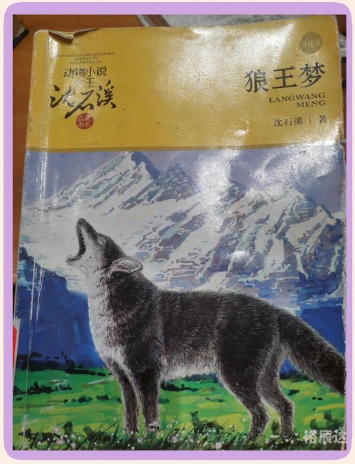 赶牛阿旗，草原上的传奇-第1张图片