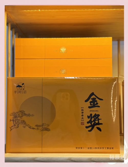 白芽奇兰，兰花中的珍品-第1张图片