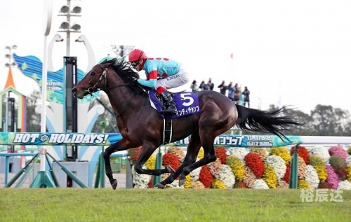 香港马 会开奖结果新闻香港马会开奖直播，揭晓幸运时刻-第2张图片