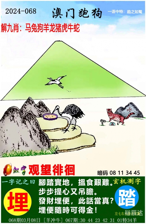 澳门一肖一码一必中一肖，探索彩票的神秘世界