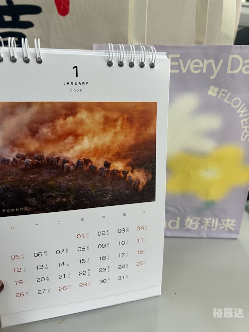 正版免费全年资料大全-第2张图片