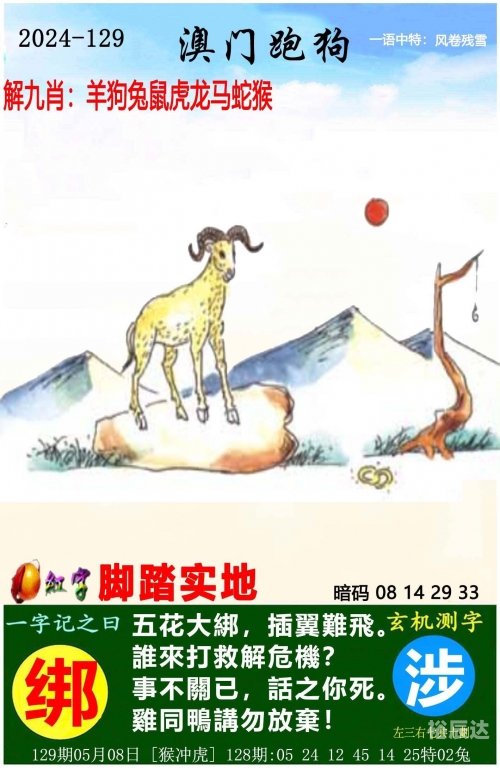 澳门新彩2024新澳免费资料，澳门钱庄概览