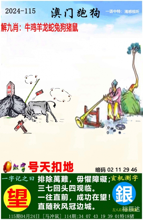 澳门新彩2024新澳免费资料，澳门钱庄概览-第3张图片