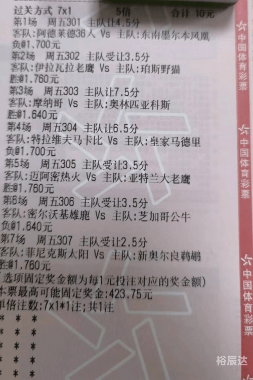 今日特马是今日特马，探索与发现