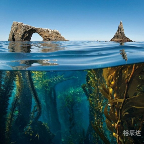 49图库APP下载安卓，探索便捷的视觉盛宴