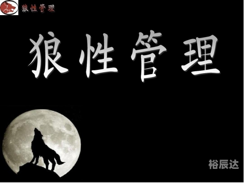 广西的狼精英主论坛广西狼精英主论坛，探索狼性精神的卓越之地