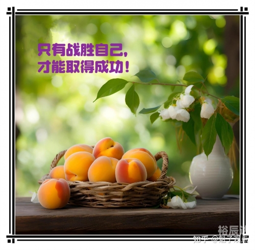 大赢家实战版大赢家实战版，策略与行动的完美结合