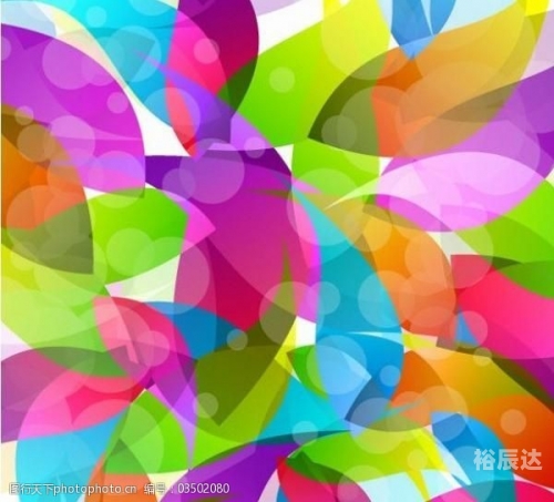 49图库彩图正版49图库彩图正版，优质资源，丰富选择-第2张图片
