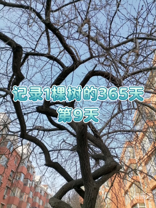 幸运365快乐每一天幸运365，生活中的幸运时刻