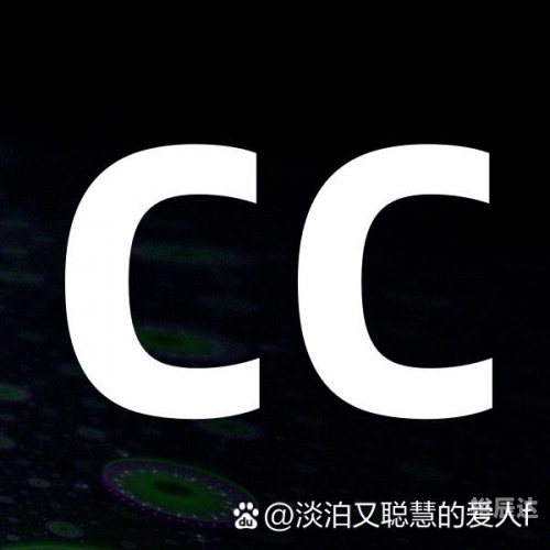 彩之网互动区彩之网互动区，探索网络交流的新天地-第1张图片