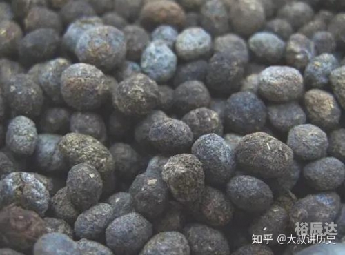 老衲法号，修行之路-第1张图片
