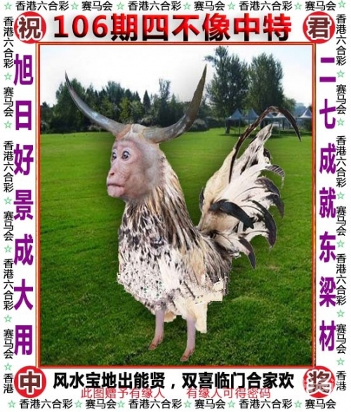 今晚买四不像必中一图今晚买四不像