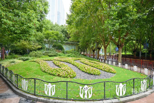 天堂鸟论坛，探索网络交流的新天地-第2张图片