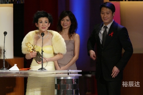 2007金马奖影后视频2007金马奖，璀璨星光下的辉煌历程-第3张图片