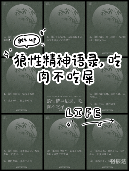 广西的狼精英主论坛广西狼精英主论坛，探索狼性精神的深度交流平台