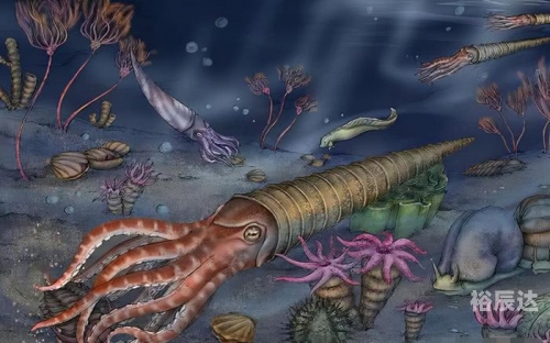 顶叶兽顶叶兽，神秘生物的探索之旅