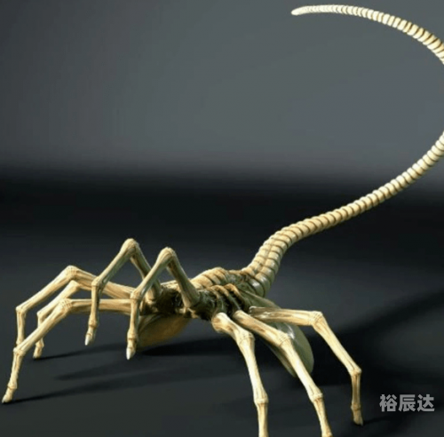 顶叶兽顶叶兽，神秘生物的探索之旅-第2张图片