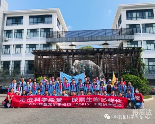 高手论坛，探索技术与交流的殿堂