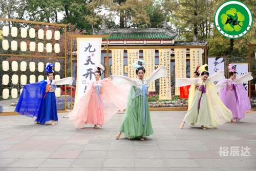 九天游戏九天游戏，沉浸式游戏体验的魔法世界