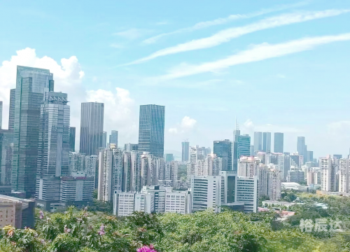 特区网特区网，引领特区发展的前沿窗口